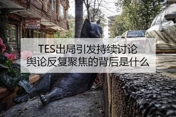 TES出局引发持续讨论 舆论反复聚焦的背后是什么